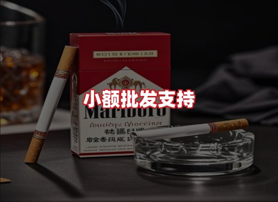 专业团队